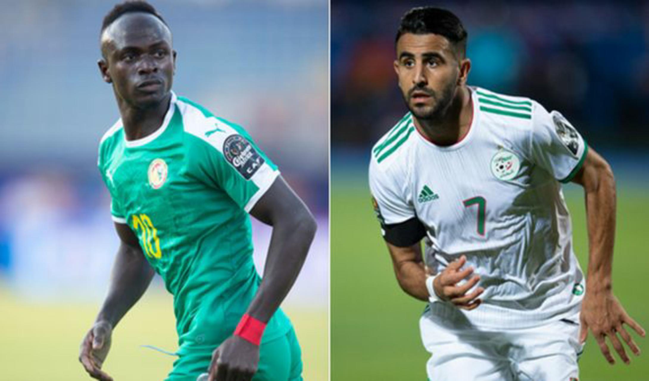 موعد مباراة الجزائر ضد السنغال