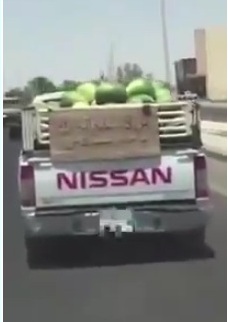 فيديو.. مواطن يقدم البطيخ مجاناً لمن لا يملك ثمنه