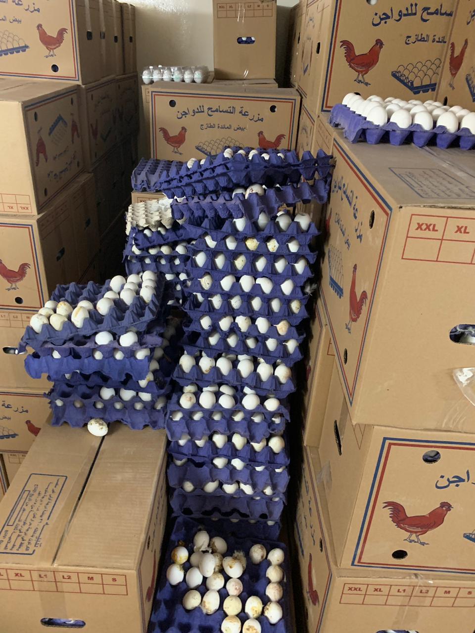 7500 طبق بيض في سكن عمالة!