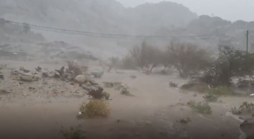 فيديو.. جريان الأودية بعد أمطار بارق