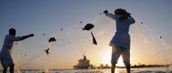 البيئة تعلن بدء موسم حظر صيد أسماك الباغة وتتوعد المخالفين بالعقوبة
