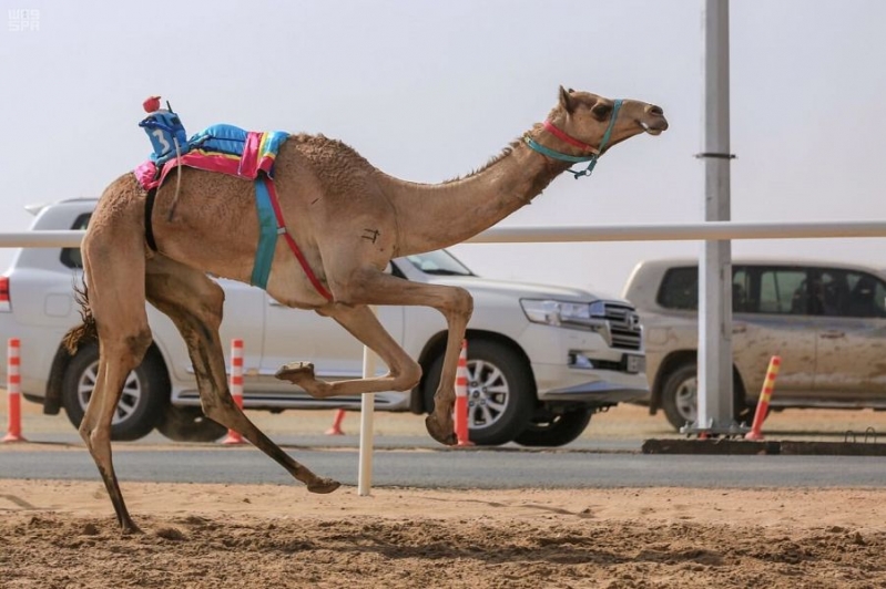 نقره لعرض الصورة في صفحة مستقلة