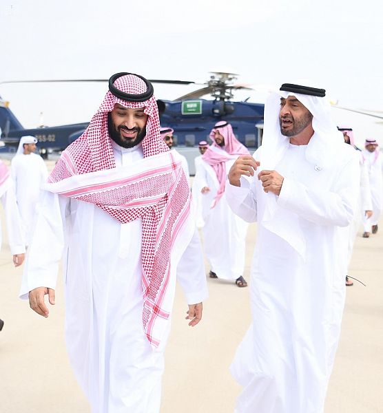 قرقاش: تحالف الخير السعودي الإماراتي حقيقة جيوستراتيجية ثابتة