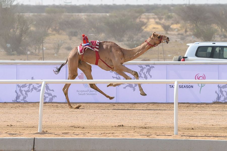 الجذابة تخطف رئيسي الجذاع وجمر يحقق أفضل توقيت