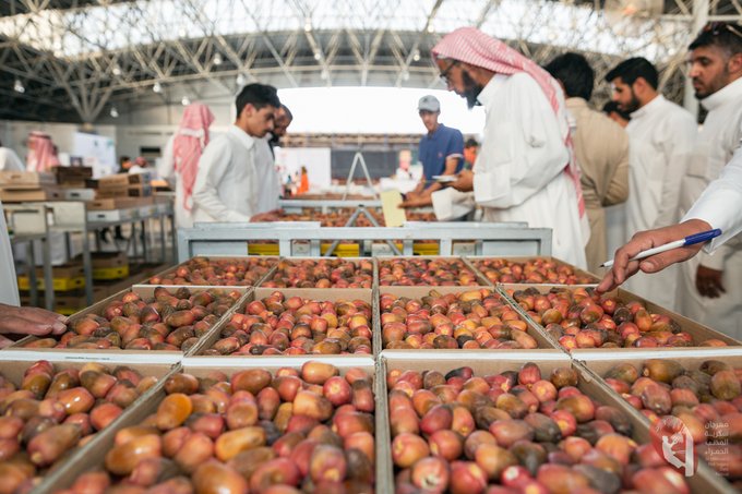 وفرة العرض وزيادة الطلب.. 35 نوعًا في مهرجان تمور المذنب