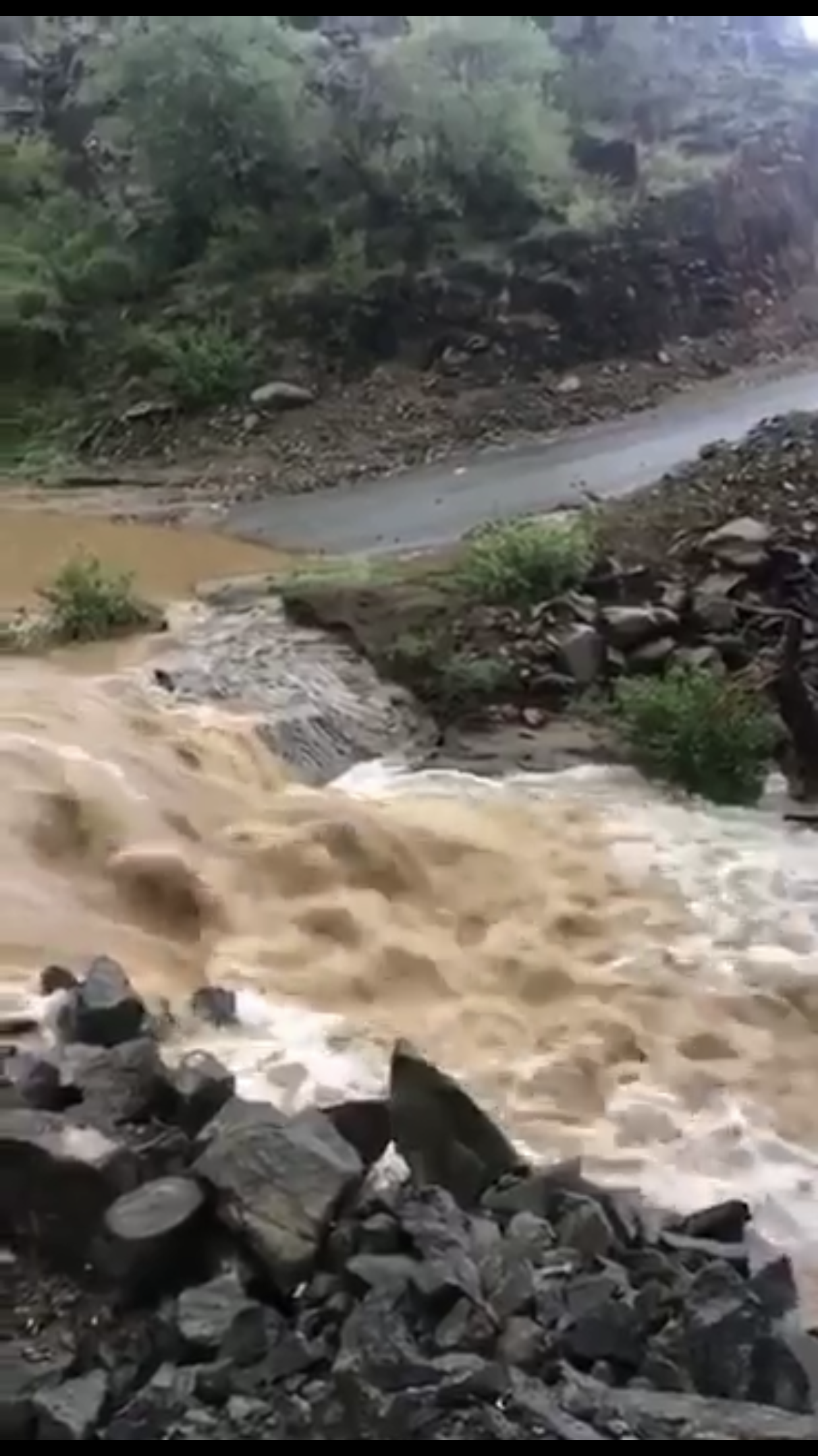 صور.. جريان الأودية بعد أمطار المجاردة الغزيرة