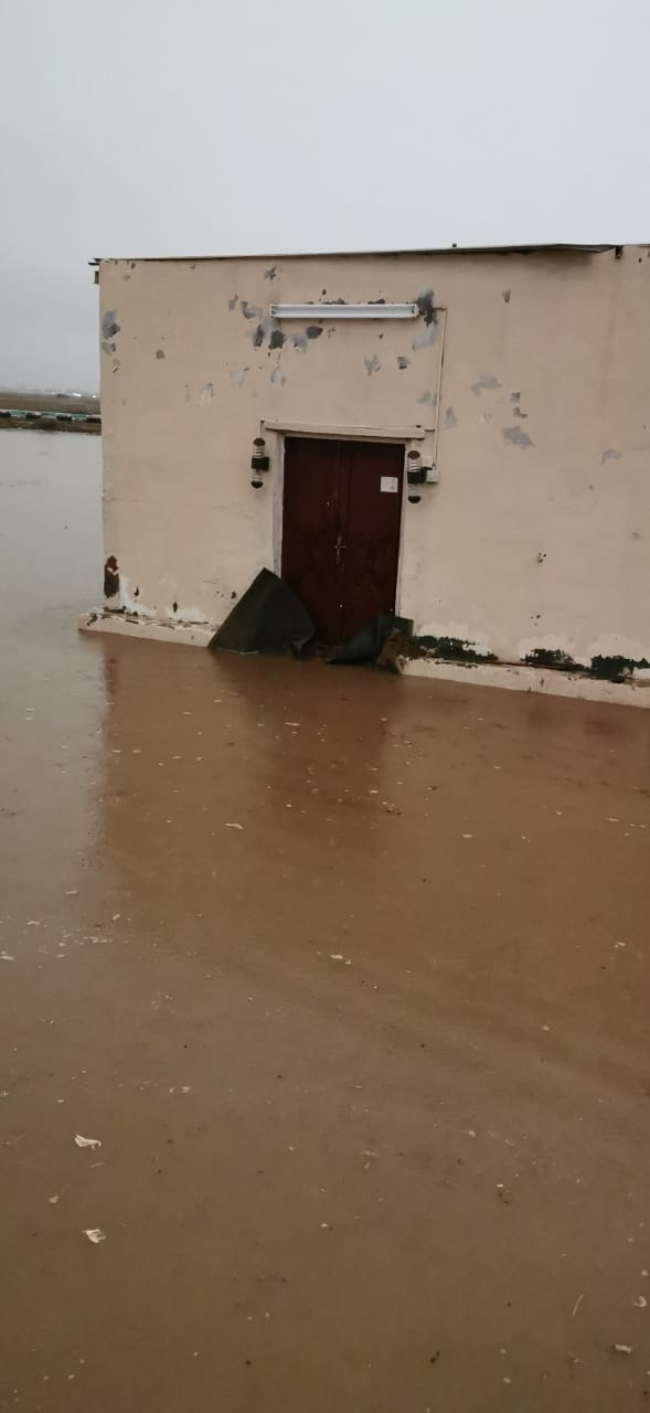 فيديو وصور.. أمطار جازان تحتجز الأهالي في منازلهم