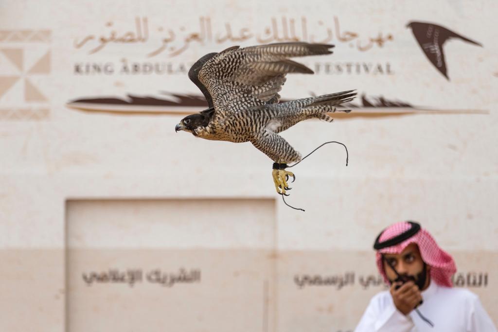 انطلاق مهرجان الملك عبدالعزيز للصقور.. 21 مليون ريال للفائزين