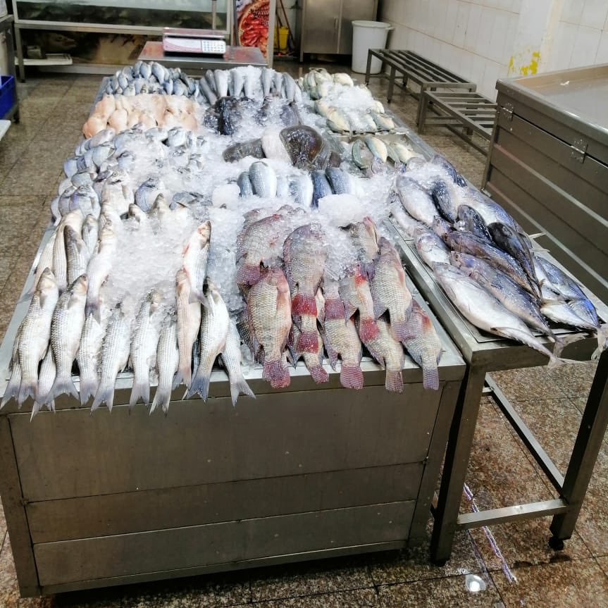 مخالفات صادمة في أسواق السمك بالعاصمة المقدسة