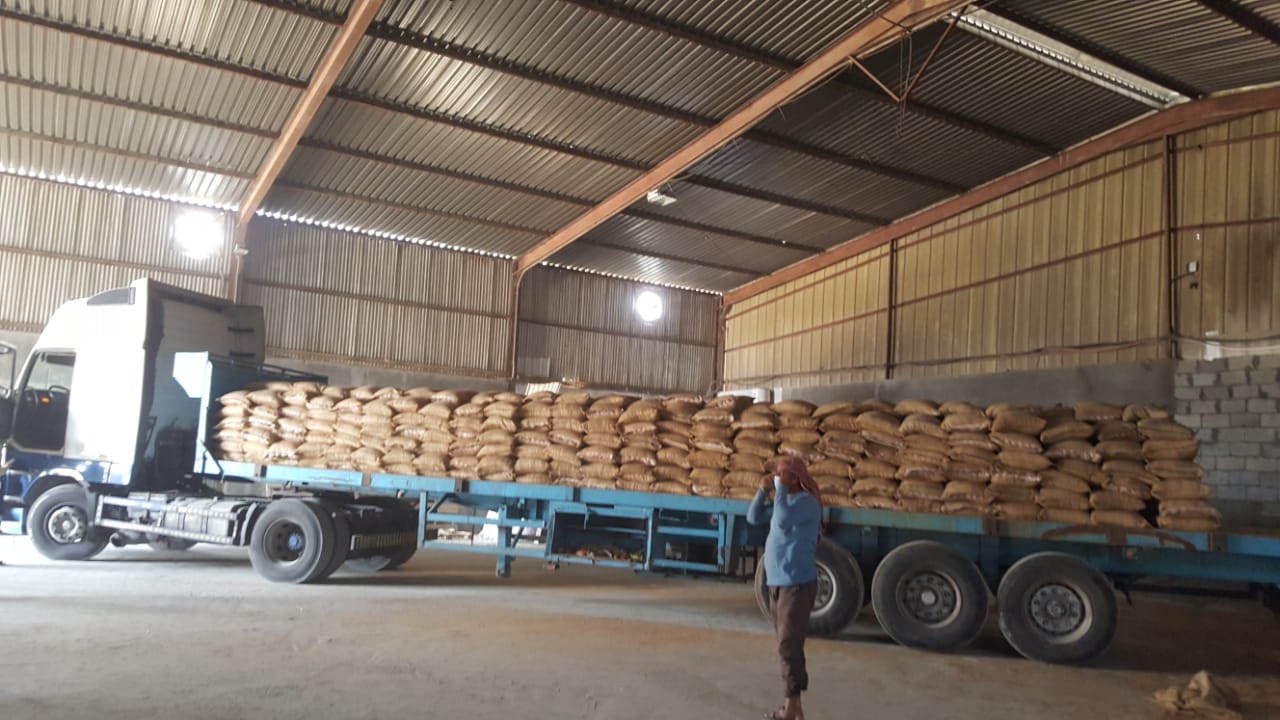 ضبط 40 طنًا من الأرز الفاسد المعد للبيع بالقطيف