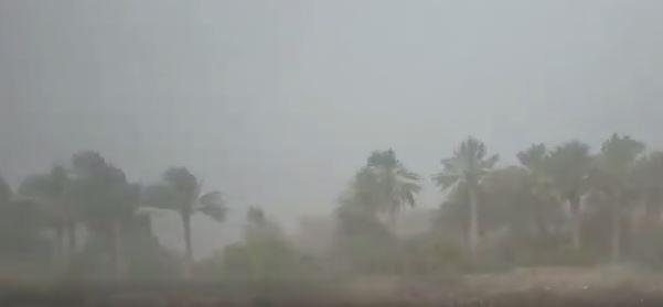 فيديو.. صوت الرعد وتساقط النخيل من شدة الرياح في عُمان