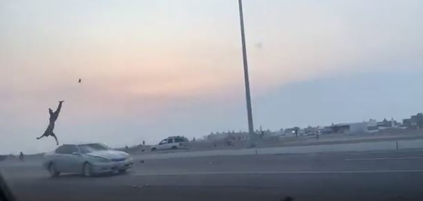فيديو يوثق حادث دهس مروع .. طار في الهواء ثم سقط جثة هامدة