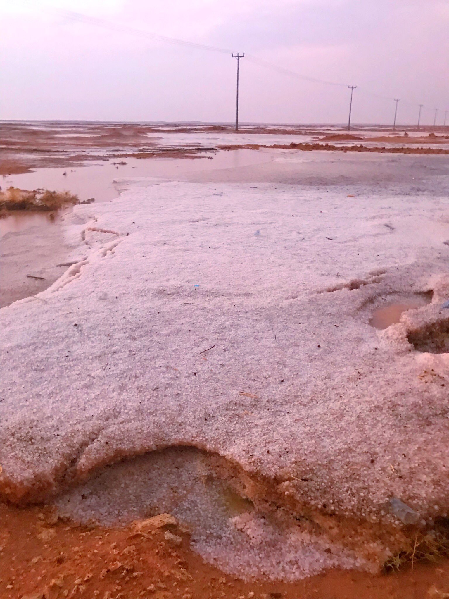 فيديو وصور.. الأرض تكتسي الأبيض بعد بردية لوقة رفحاء
