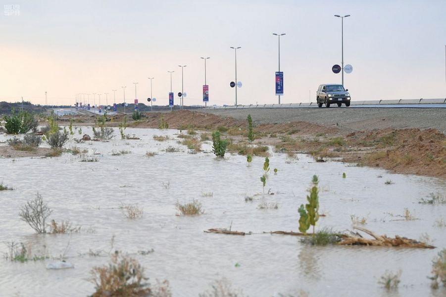 صور.. أمطار متفرقة على الطائف والباحة