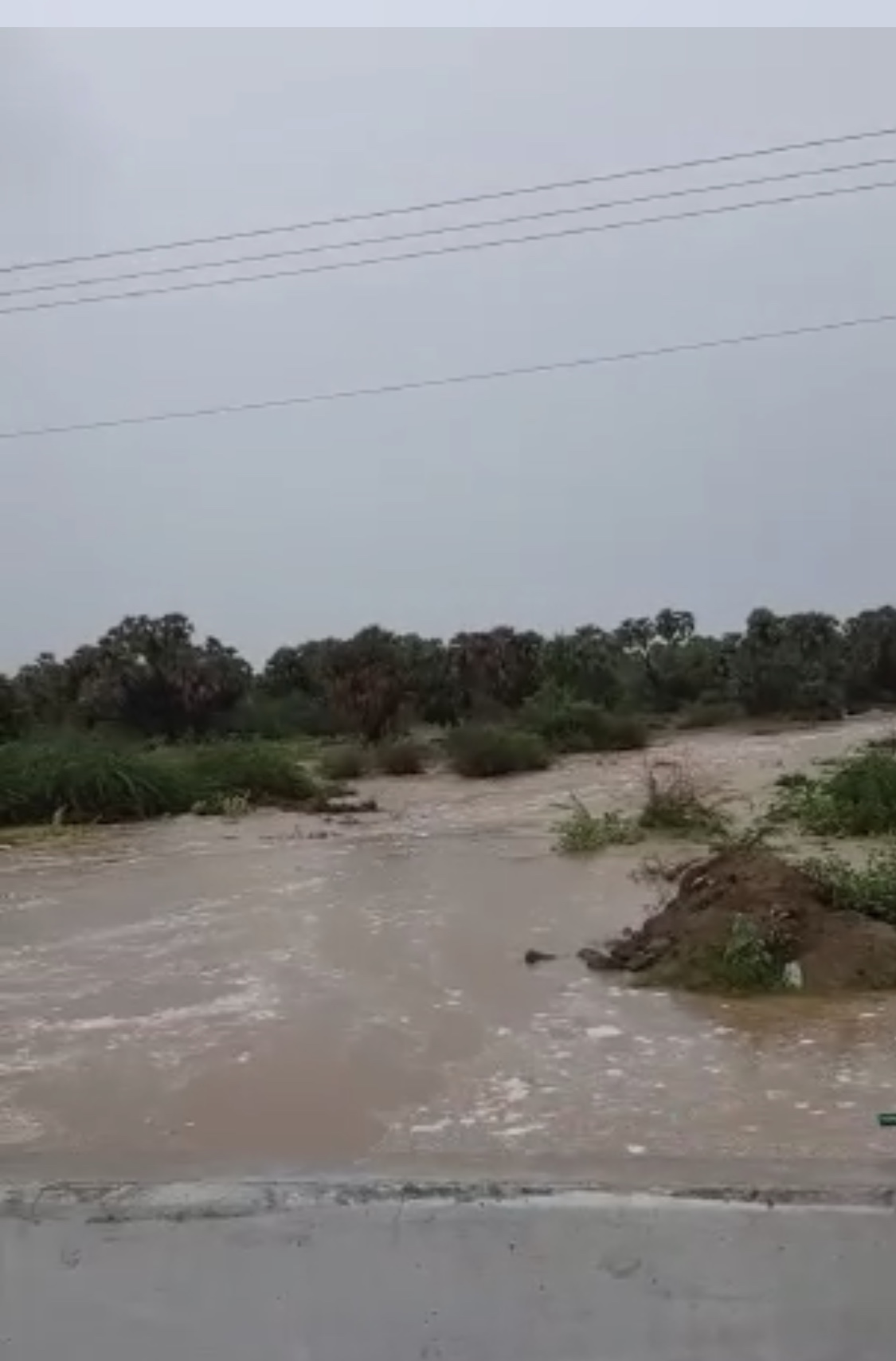 فيديو.. خاض السيل فكاد أن يفقد حياته ومن معه