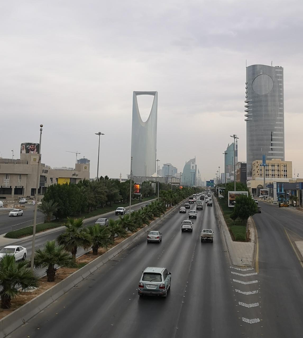 انطلاق مشاريع التشجير ضمن برنامج الرياض الخضراء - المواطن