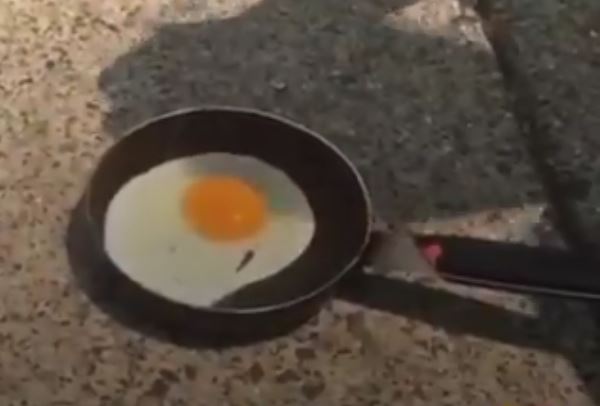أسترالية تقلي بيضة على الرصيف بعد حرائق الغابات