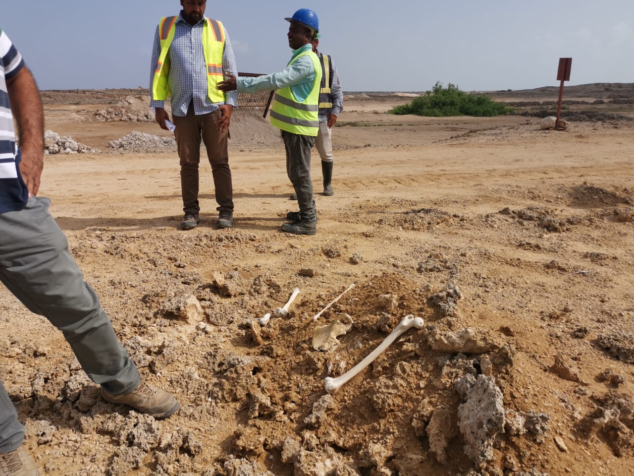 صور.. العثور على جماجم وبقايا عظام بشرية في جزر فرسان