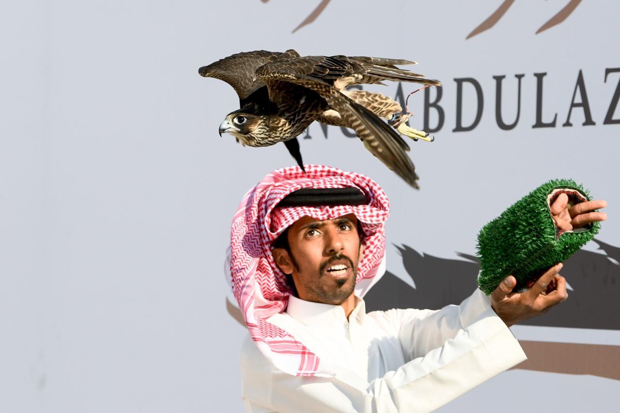 أسماء الفائزين بمسابقة الملواح في مهرجان الملك عبدالعزيز للصقور 