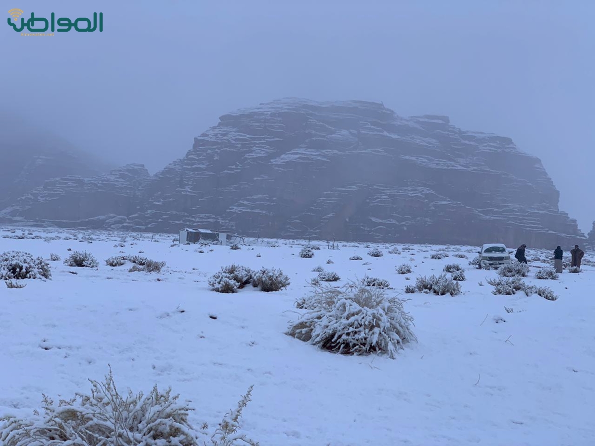 الزائر الأبيض يداعب تبوك و”المواطن” توثق المشهد واستعدادات الجهات