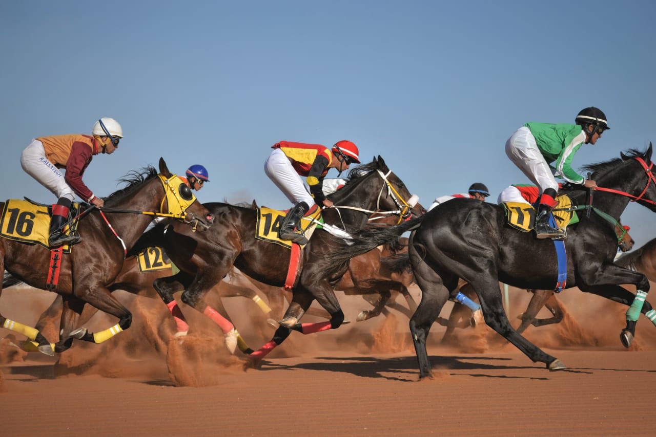 المملكة تنظم البطولة الأغلى عالميًّا في سباقات الخيل