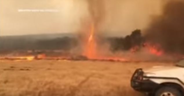 فيديو.. إعصار من النيران في حرائق غابات أستراليا