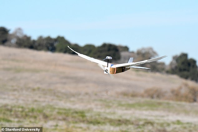 صور.. علماء يبتكرون أجنحة طائرات بريش حقيقي