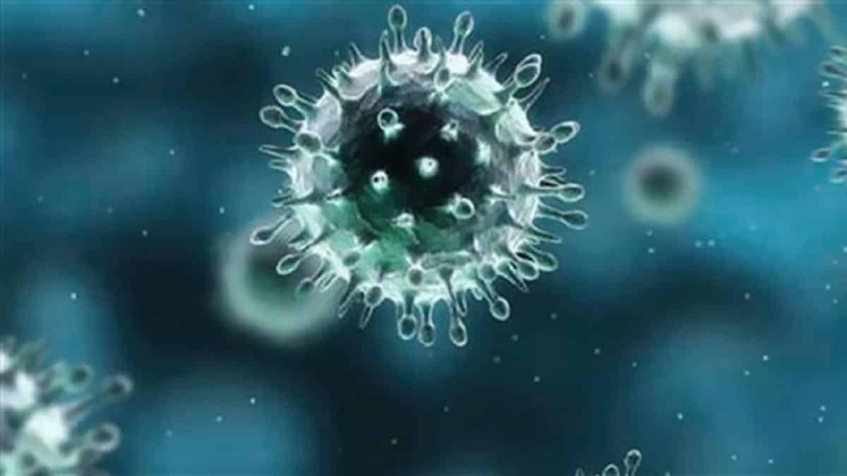 بالإنفوجرافيك.. 5 خطوات للحماية من فيروس كورونا