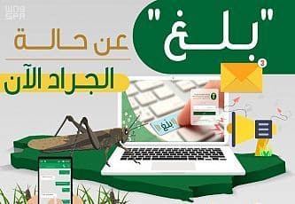 البيئة تطلق خدمة بلاغات الجراد عبر النظام الإلكتروني “بلغ”