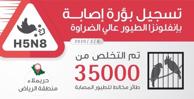 اكتشاف إصابة بإنفلونزا الطيور وإعدام 35 ألف طائر بالرياض