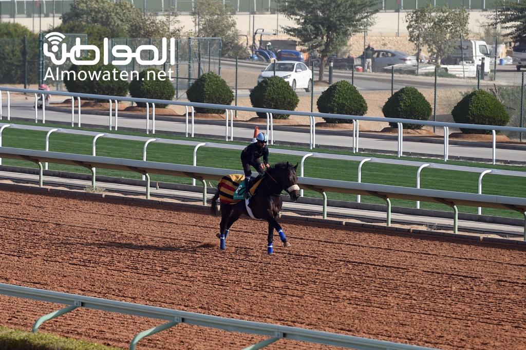 صور.. الاستعدادات النهائية لأغلى سباق خيول في العالم