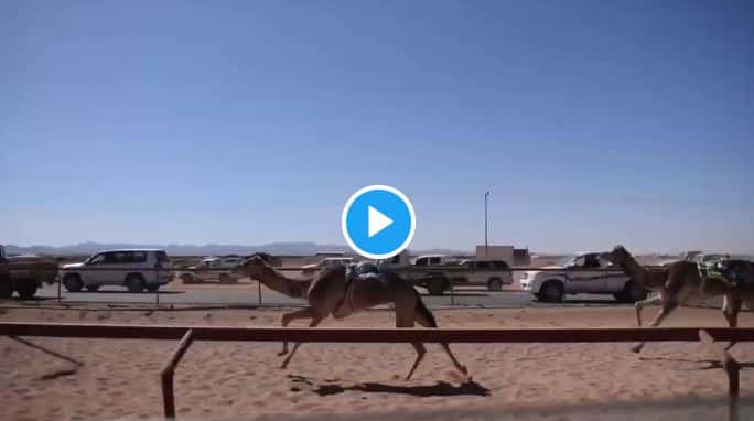 فيديو.. طنا تتصدر الحيل والبارق يتقدم الزمول