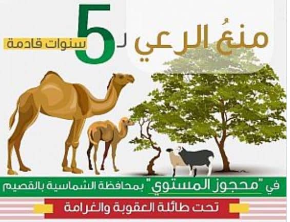 منع الرعي في محجوز المستوي الشماسية 5 أعوام