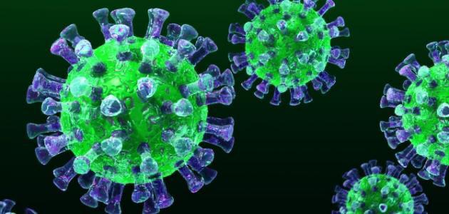 من هم الأشخاص الأكثر عرضة للإصابة بفيروس كورونا ؟
