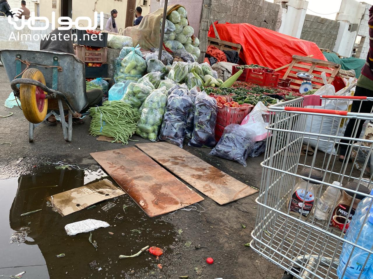 “المواطن” توثق بالفيديو والصور.. مستنقعات بيع الخضار في خميس مشيط
