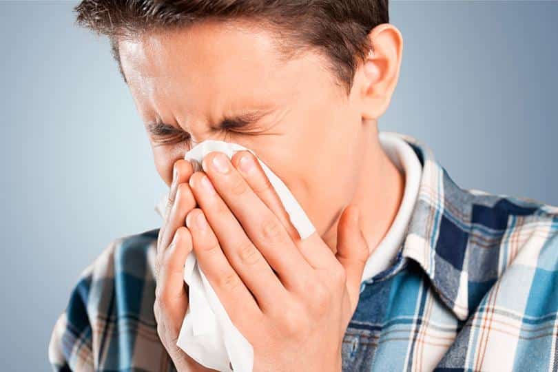 ما هو الفرق بين الإنفلونزا الموسمية ونزلة البرد ؟
