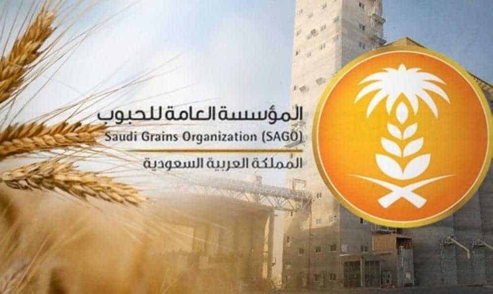 الحبوب تطرح مناقصة لاستيراد 295 ألف طن قمح