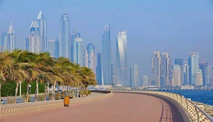 حيوان بري طليق في دبي والشرطة تحذر