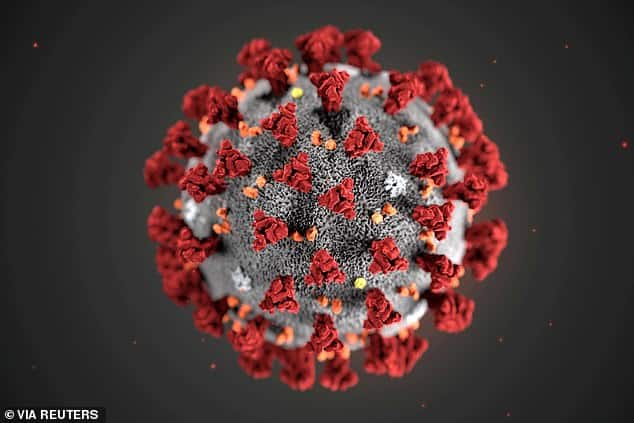علماء يرصدون 40 طفرة لفيروس كورونا
