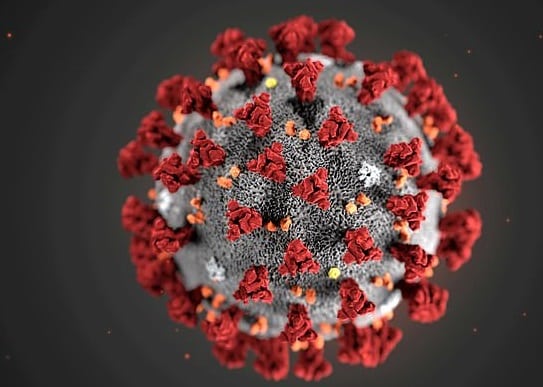 تطور خطير.. فيروس كورونا يتحول إلى سلالتين