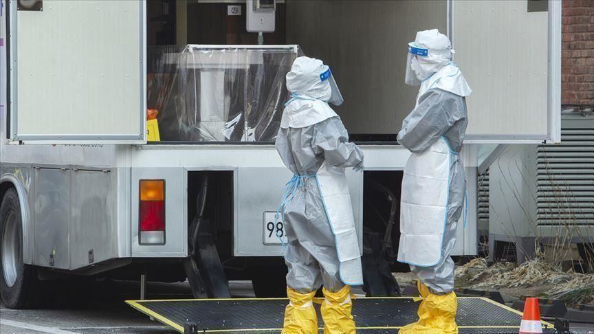 نيوزيلندا تسجل 58 إصابة جديدة بفيروس كورونا