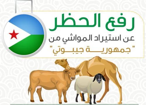 رفع الحظر عن استيراد المواشي من جيبوتي