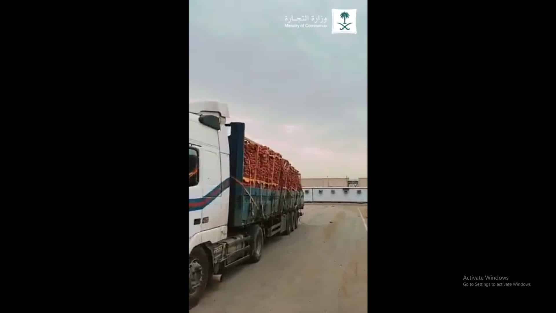 فيديو.. ضبط 6 شاحنات بصل أُخفيت خارج سوق الخضار لبيعها بعد رفع السعر