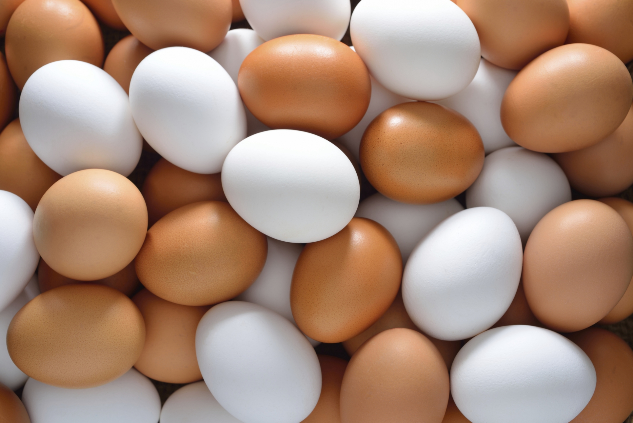 استيراد كميات إضافية من البيض خلال أيام