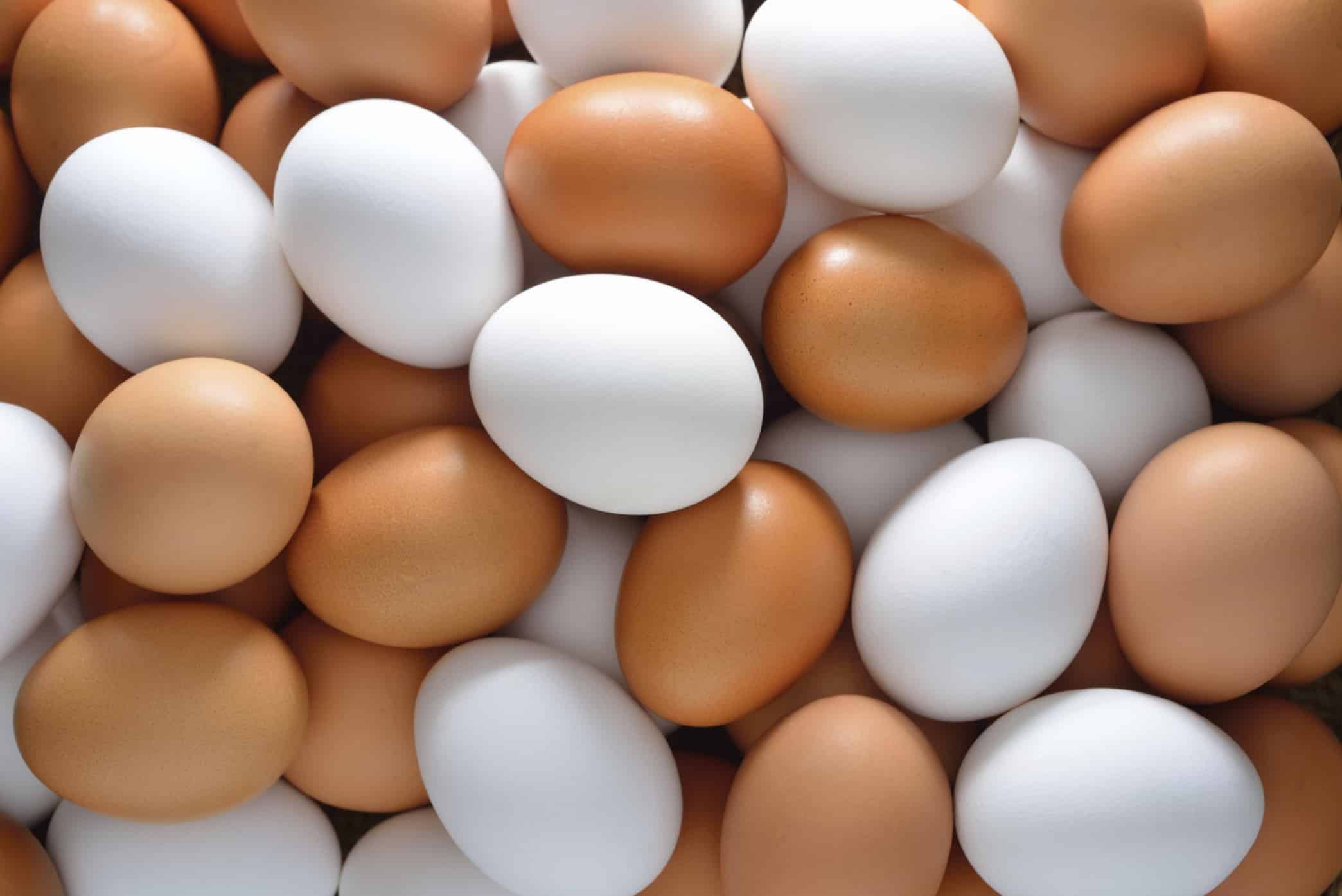 إتلاف أكثر من 108 آلاف بيضة فاسدة في الدمام