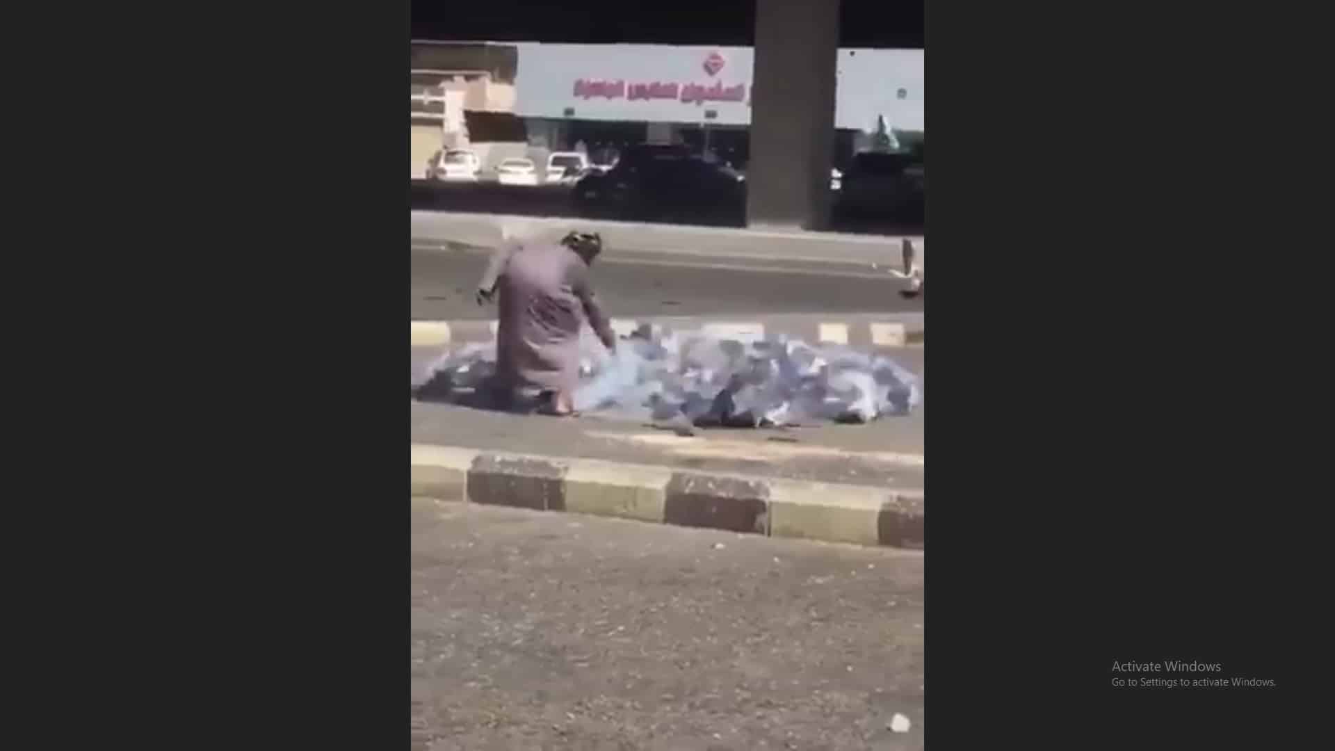 فيديو.. رجل يصطاد الحمام وغرامة 20 ألف ريال في انتظاره!