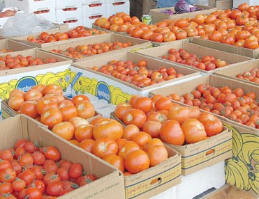 بالفيديو.. ضبط شاحنة طماطم تم إخفاؤها لرفع السعر في تبوك