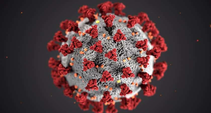 جامعة كامبريدج: هناك ثلاث سلالات من فيروس كورونا