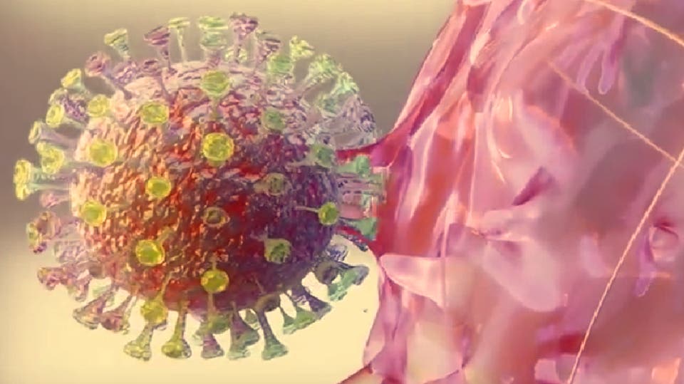 فيديو.. كيف يتحايل كورونا على مناعة الإنسان؟