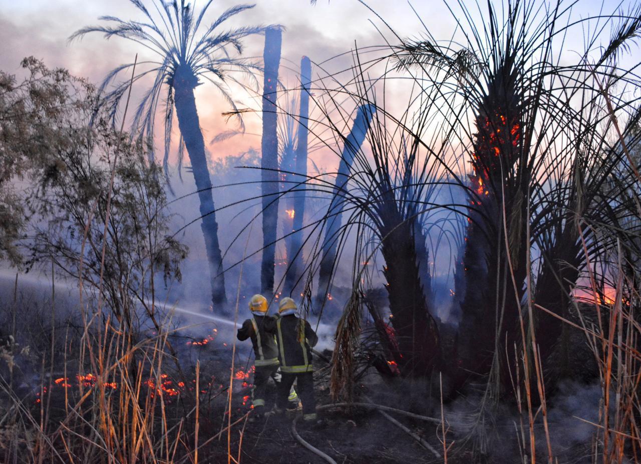 مدني حائل يخمد حريقًا في مزرعة بحي السويفلة